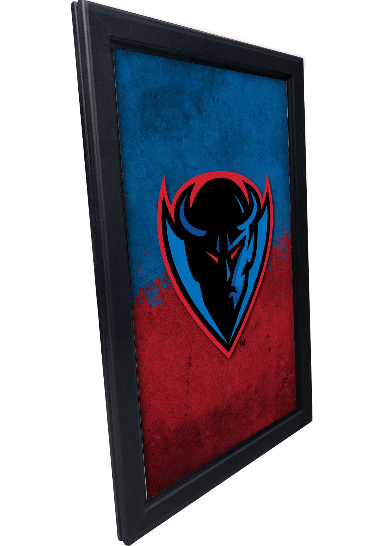 DePaul University 16x24 Snapframe Lightbox
