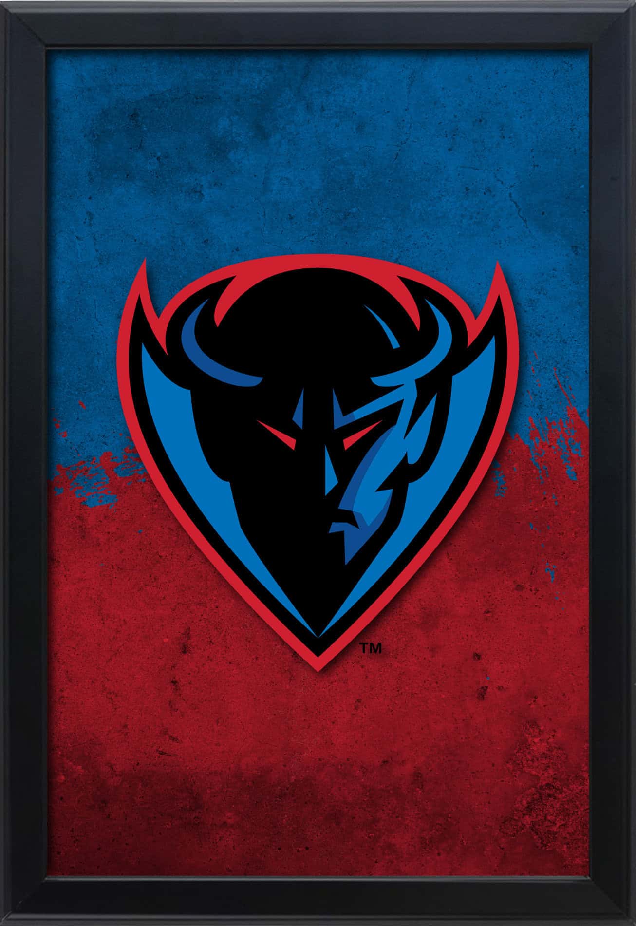 DePaul University 16x24 Snapframe Lightbox