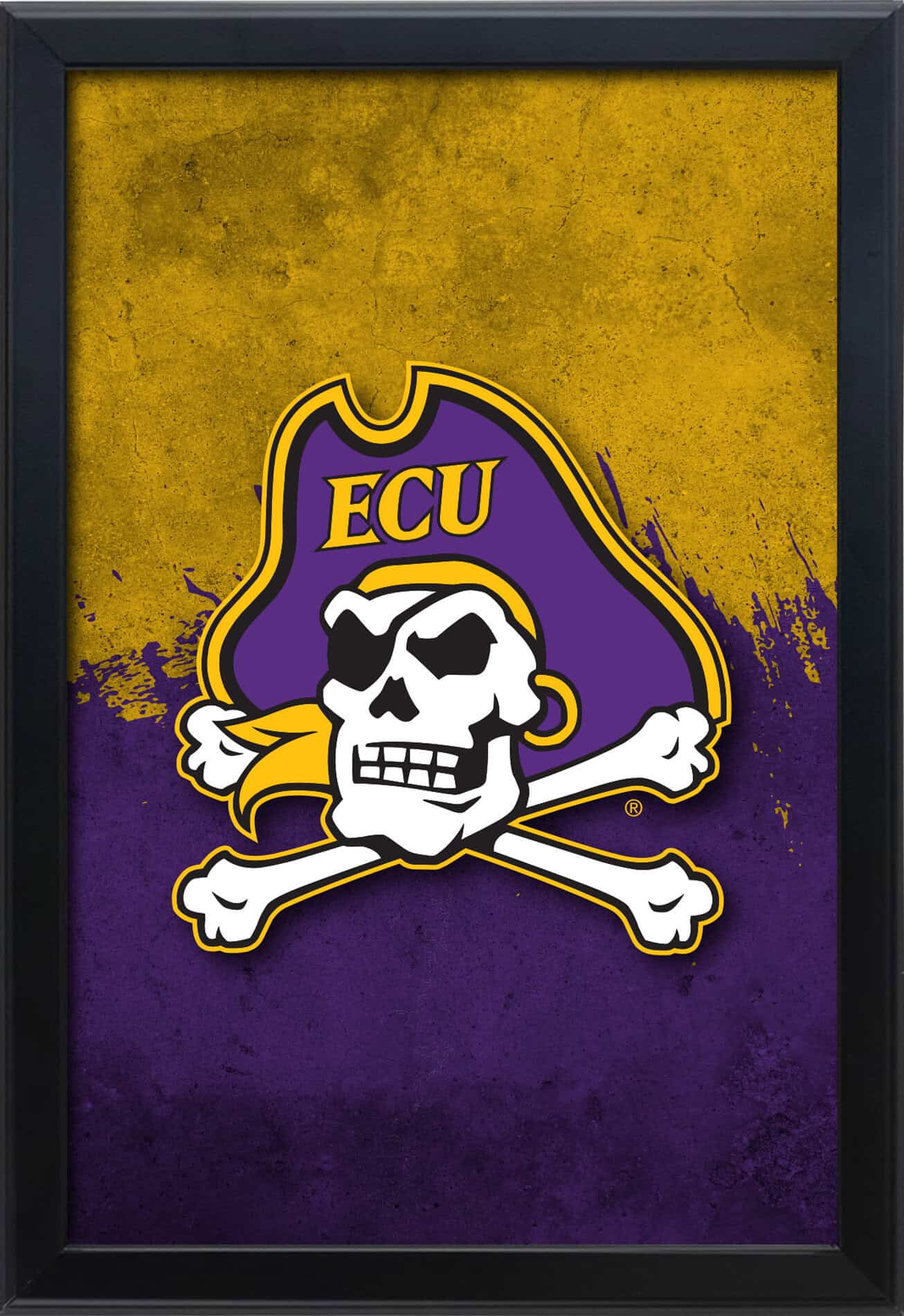 East Carolina University 16x24 Snapframe Lightbox
