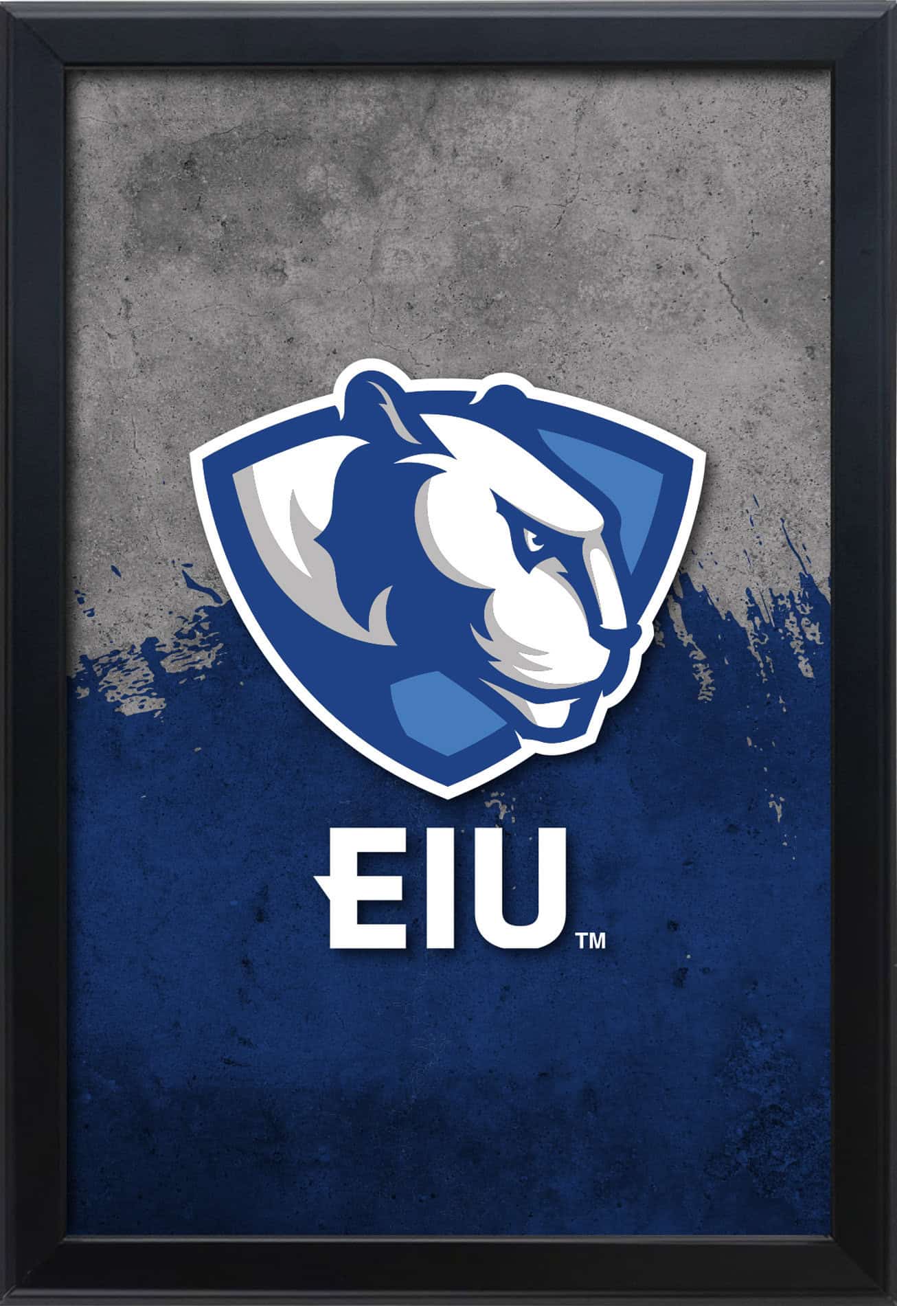 Eastern Illinois University 16x24 Snapframe Lightbox
