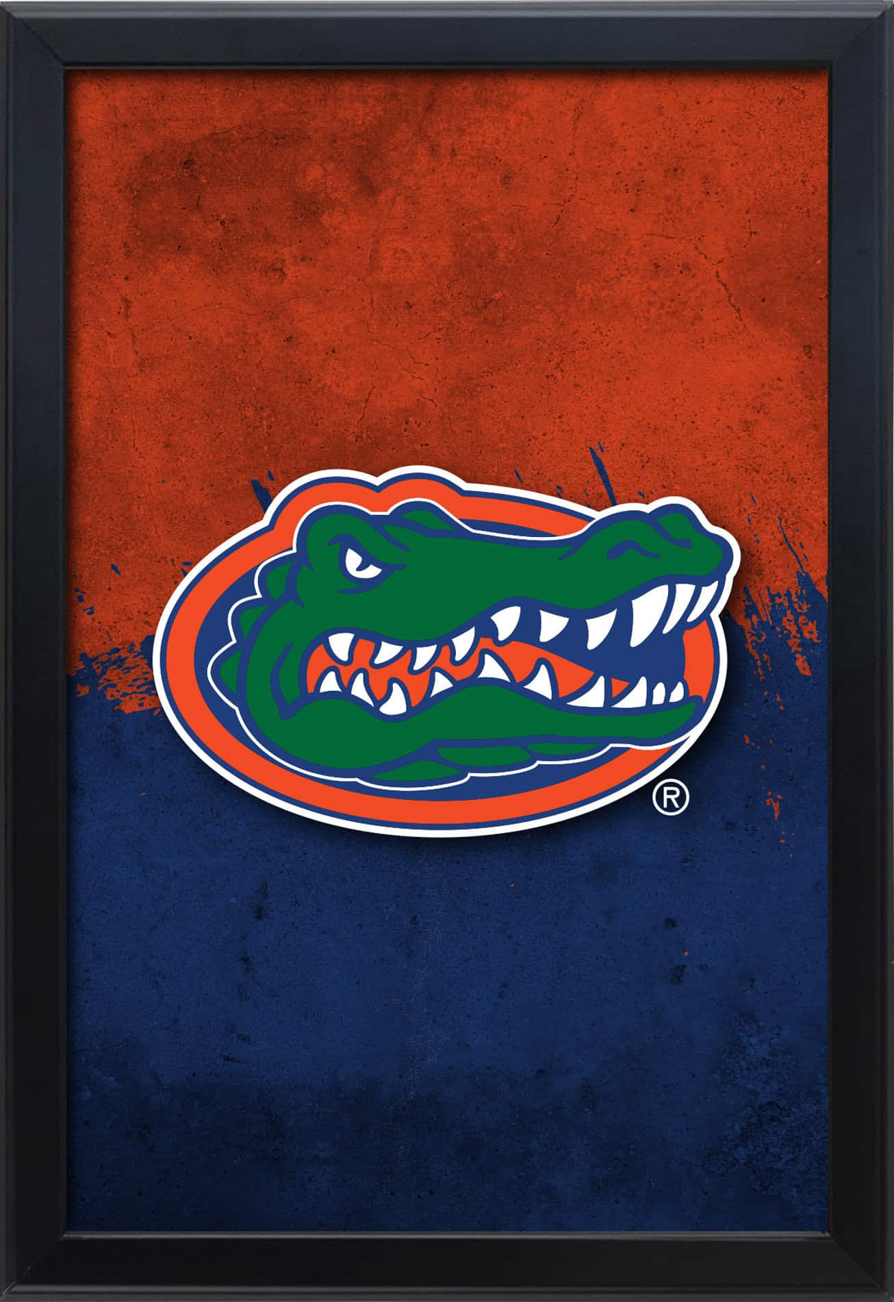 University of Florida 16x24 Snapframe Lightbox