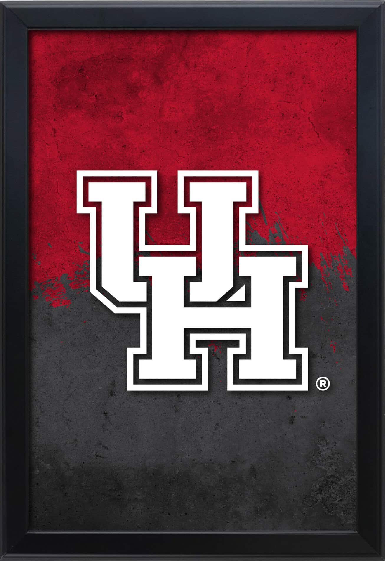 University of Houston 16x24 Snapframe Lightbox