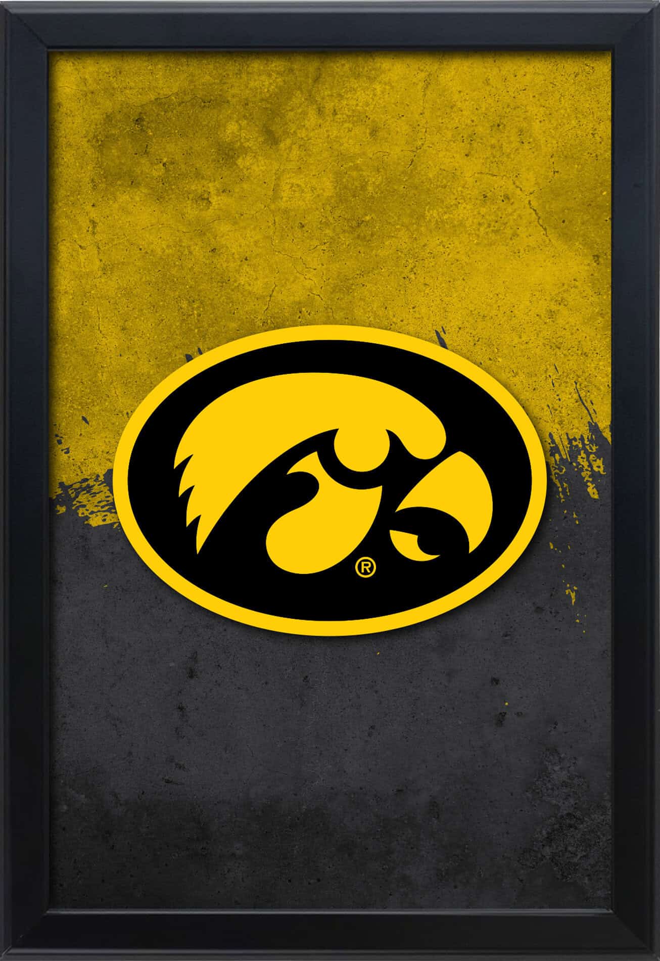 University of Iowa 16x24 Snapframe Lightbox