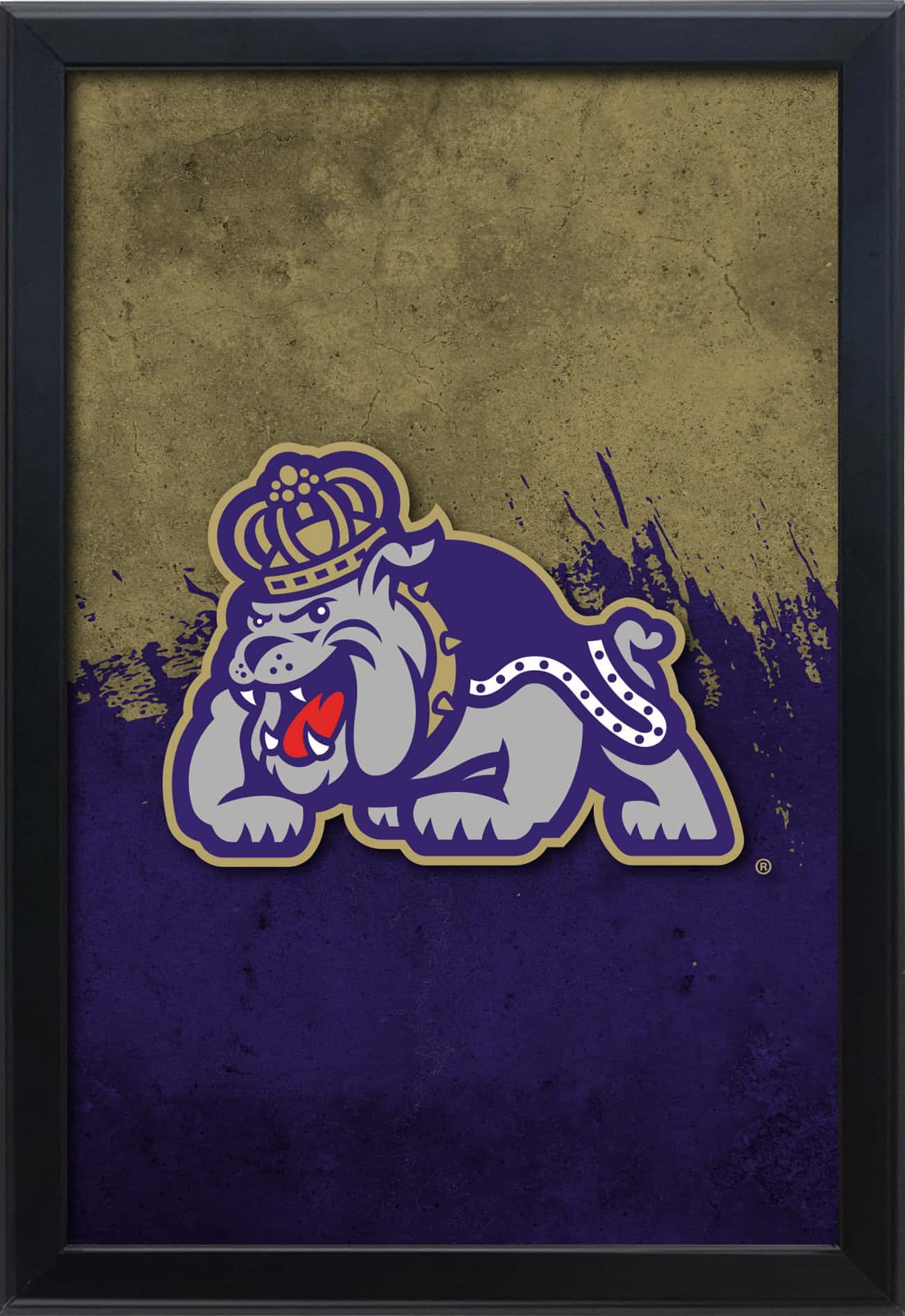 James Madison University 16x24 Snapframe Lightbox