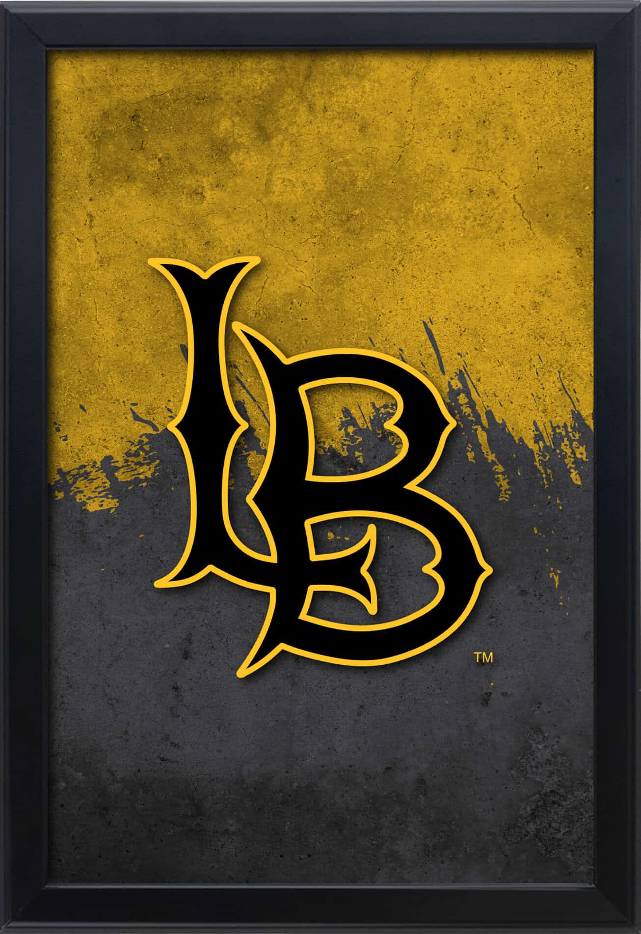 Long Beach State University 16x24 Snapframe Lightbox