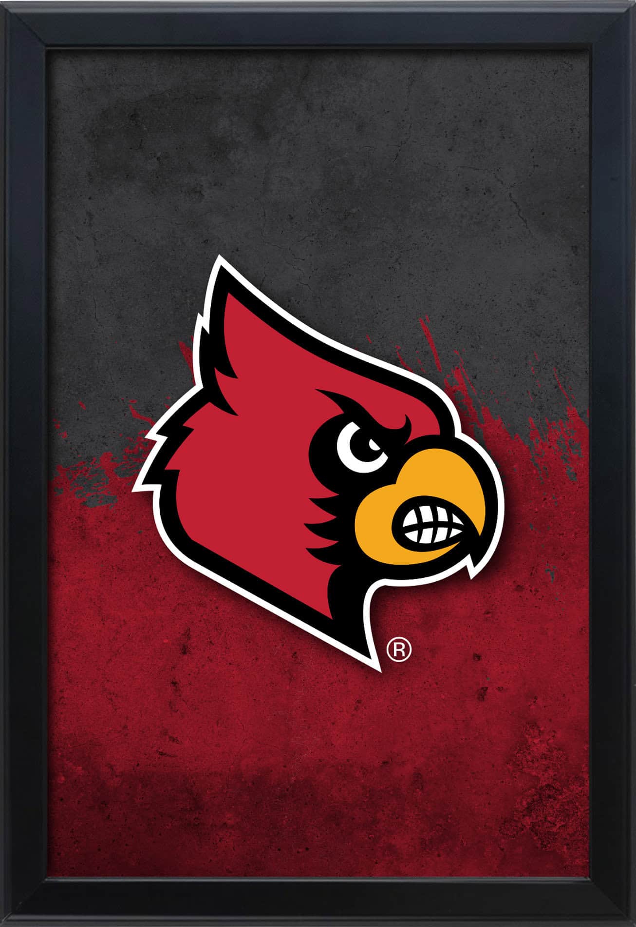 University of Louisville 16x24 Snapframe Lightbox