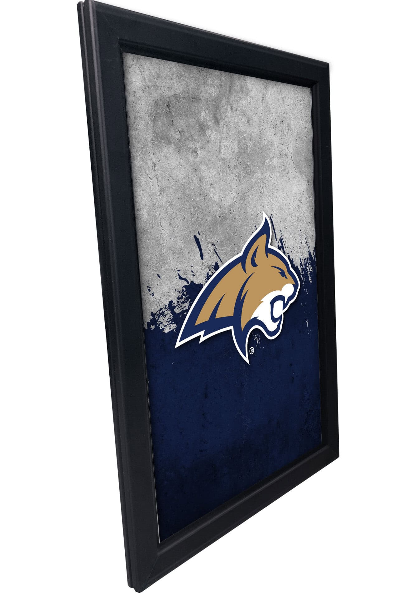 Montana State University 16x24 Snapframe Lightbox