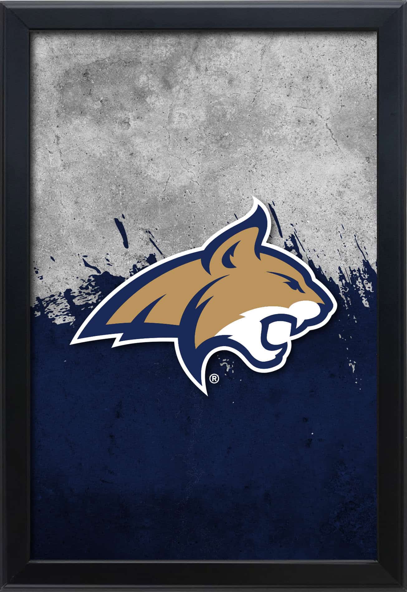 Montana State University 16x24 Snapframe Lightbox