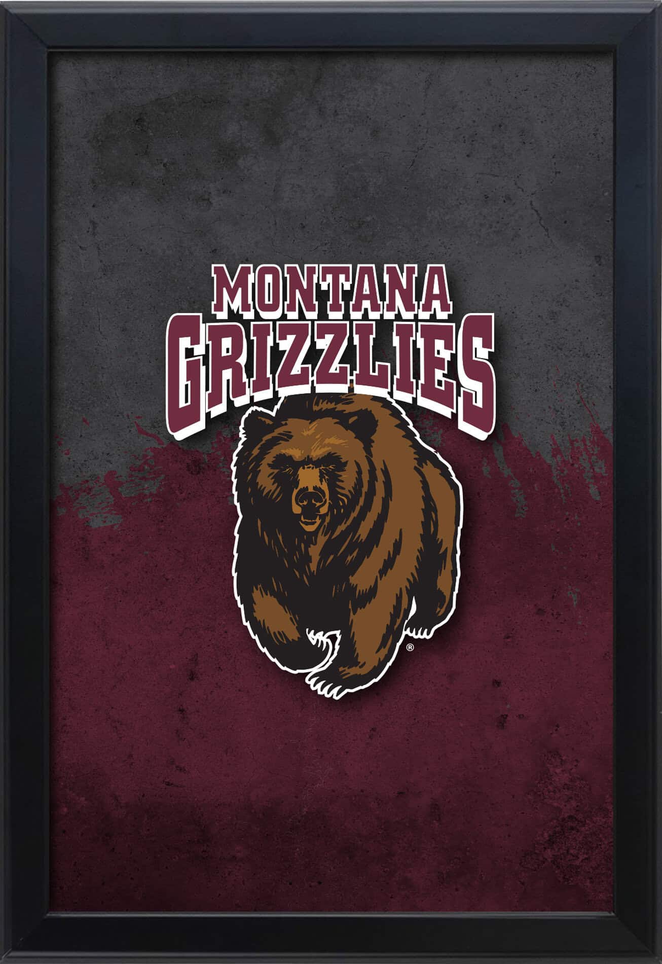 University of Montana 16x24 Snapframe Lightbox