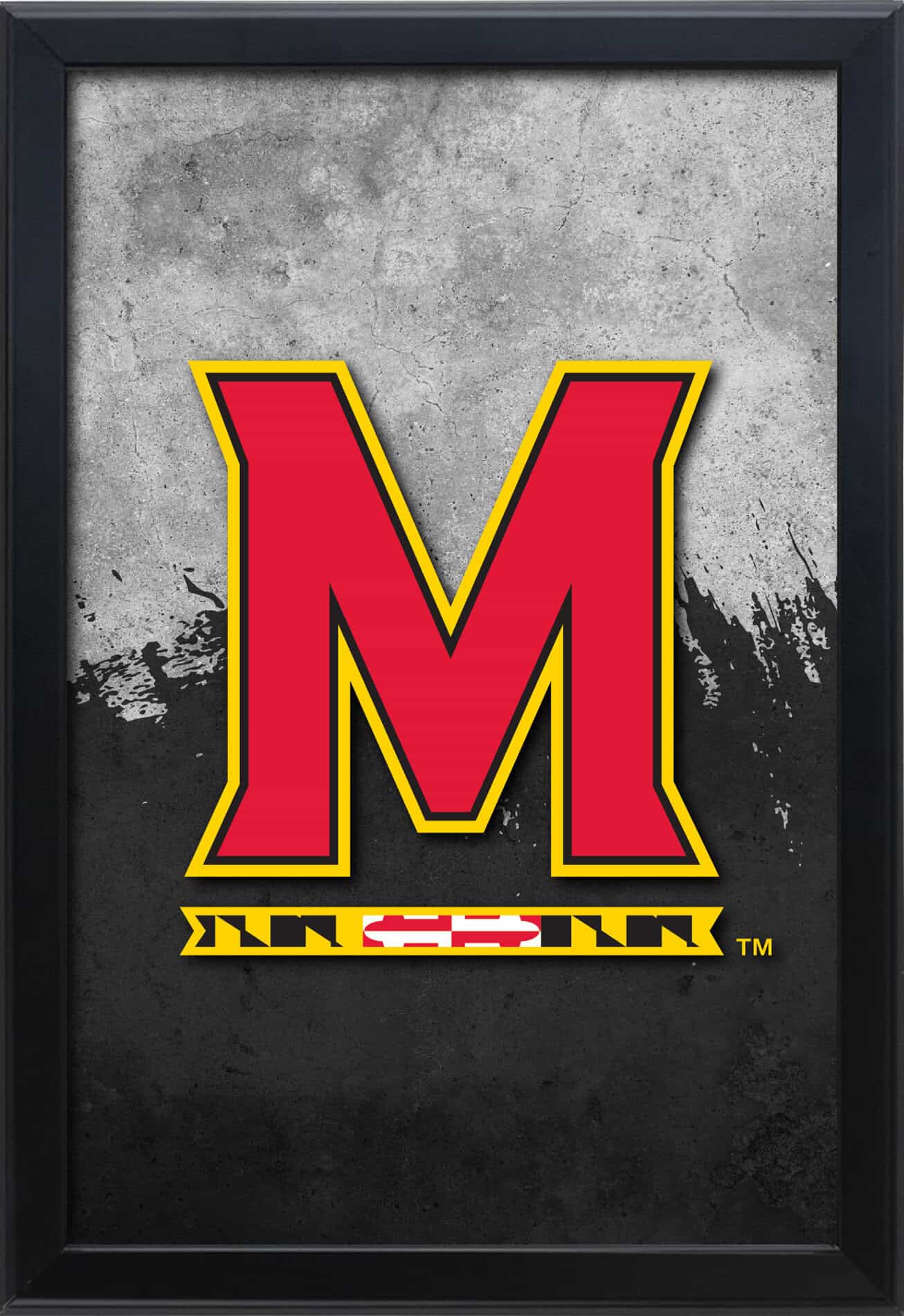 University of Maryland 16x24 Snapframe Lightbox