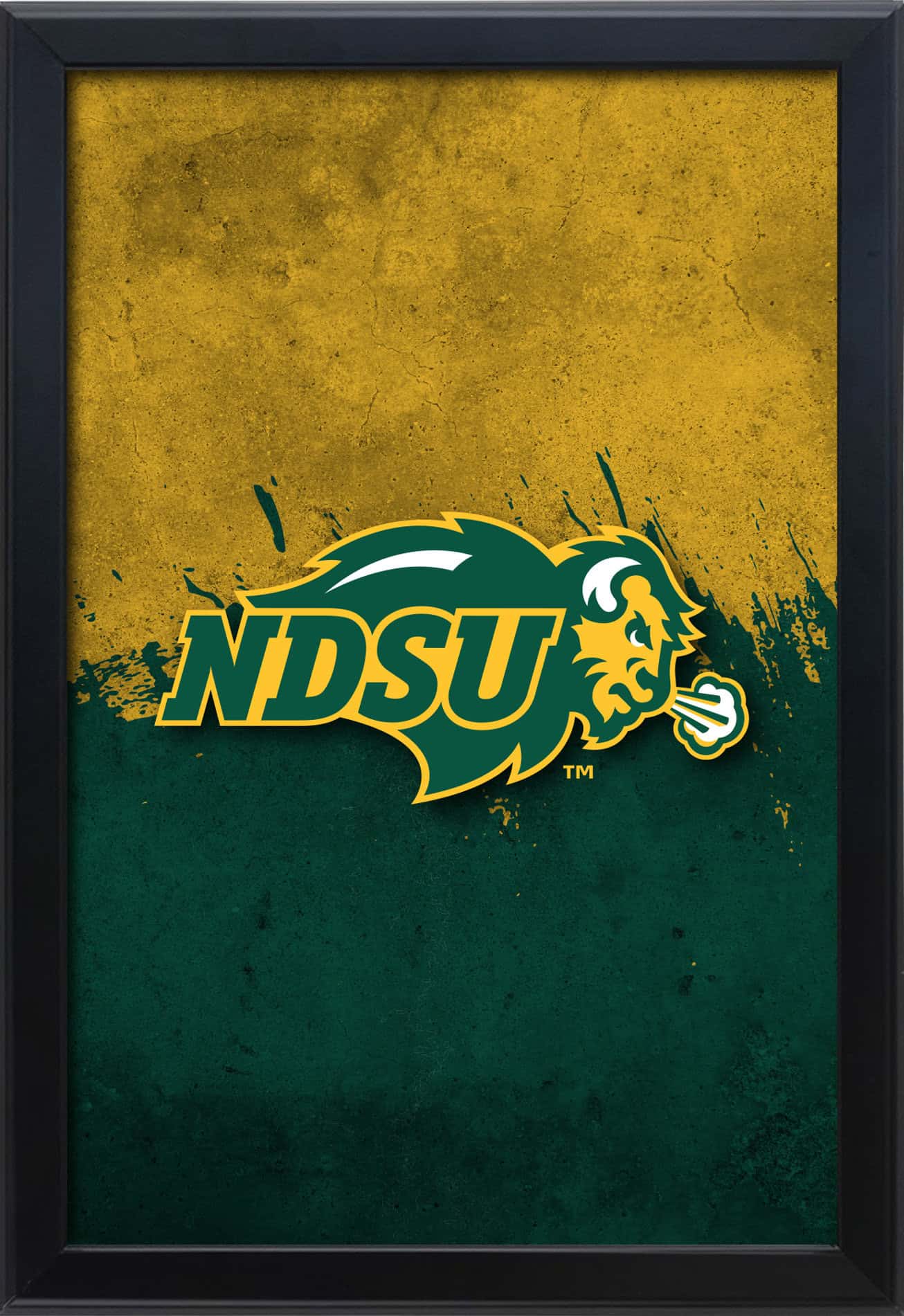 North Dakota State University 16x24 Snapframe Lightbox