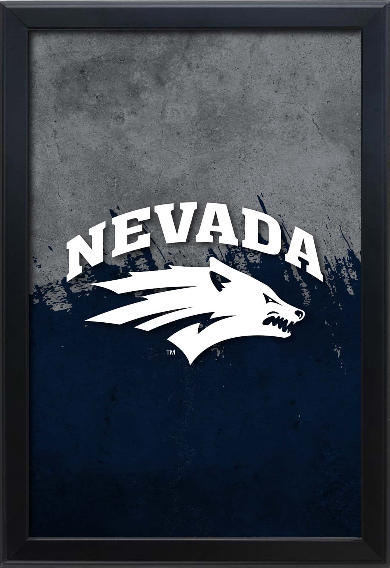 University of Nevada 16x24 Snapframe Lightbox
