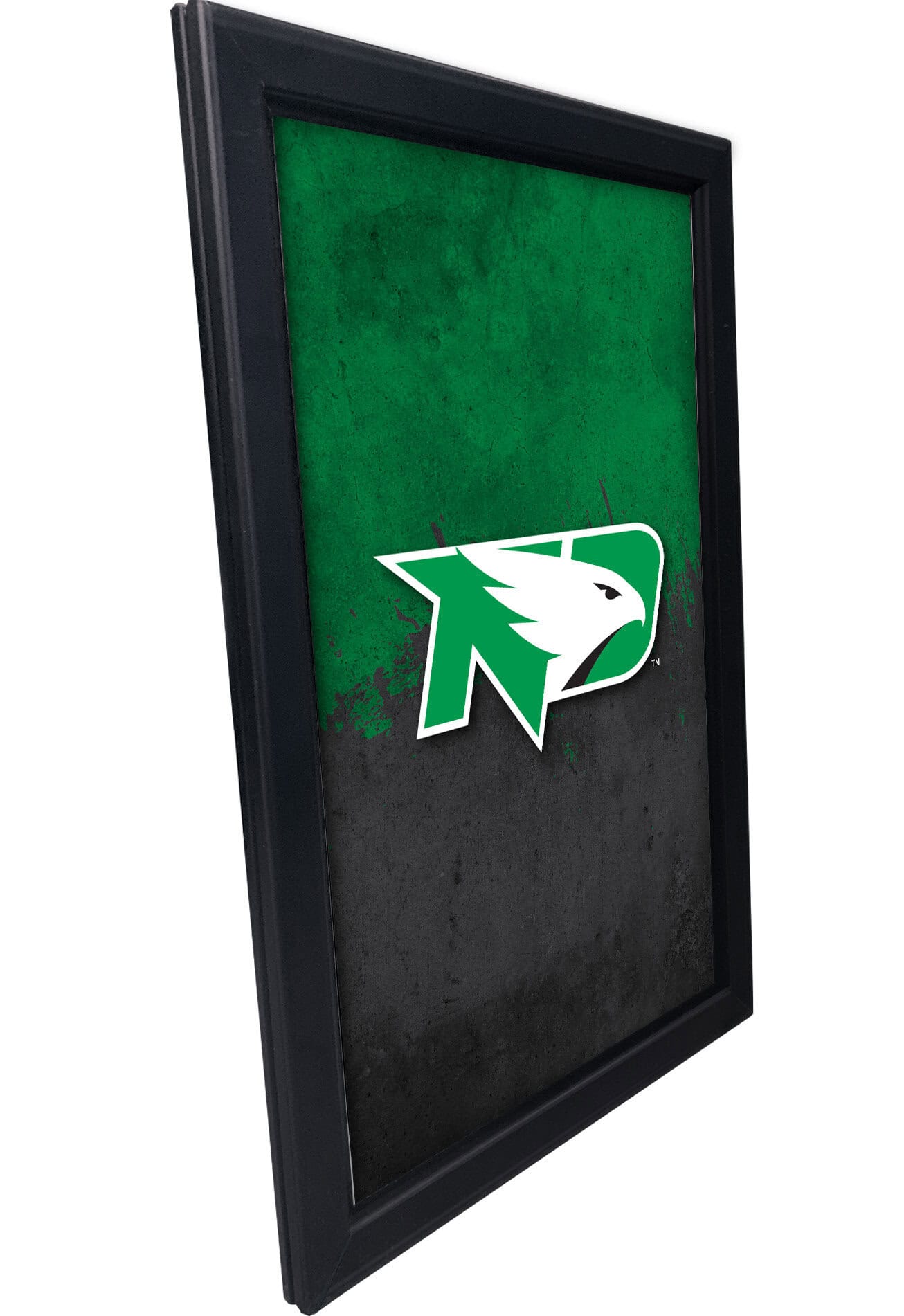 University of North Dakota 16x24 Snapframe Lightbox