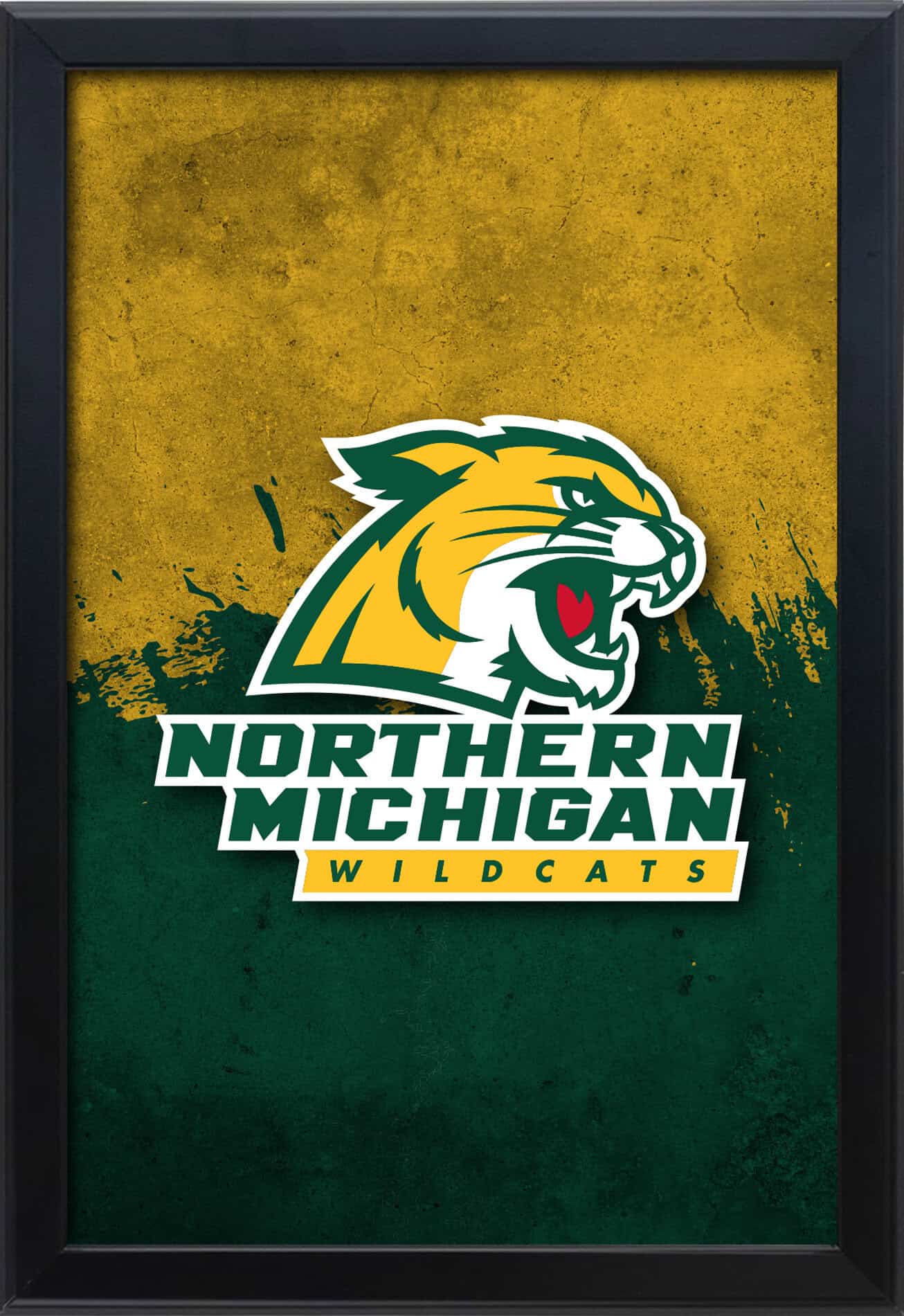 Northern Michigan University 16x24 Snapframe Lightbox