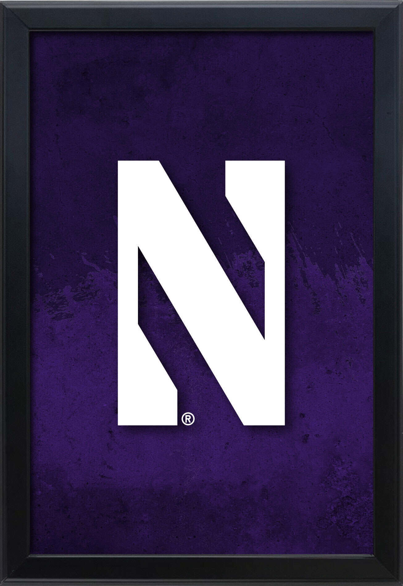 Northwestern University 16x24 Snapframe Lightbox