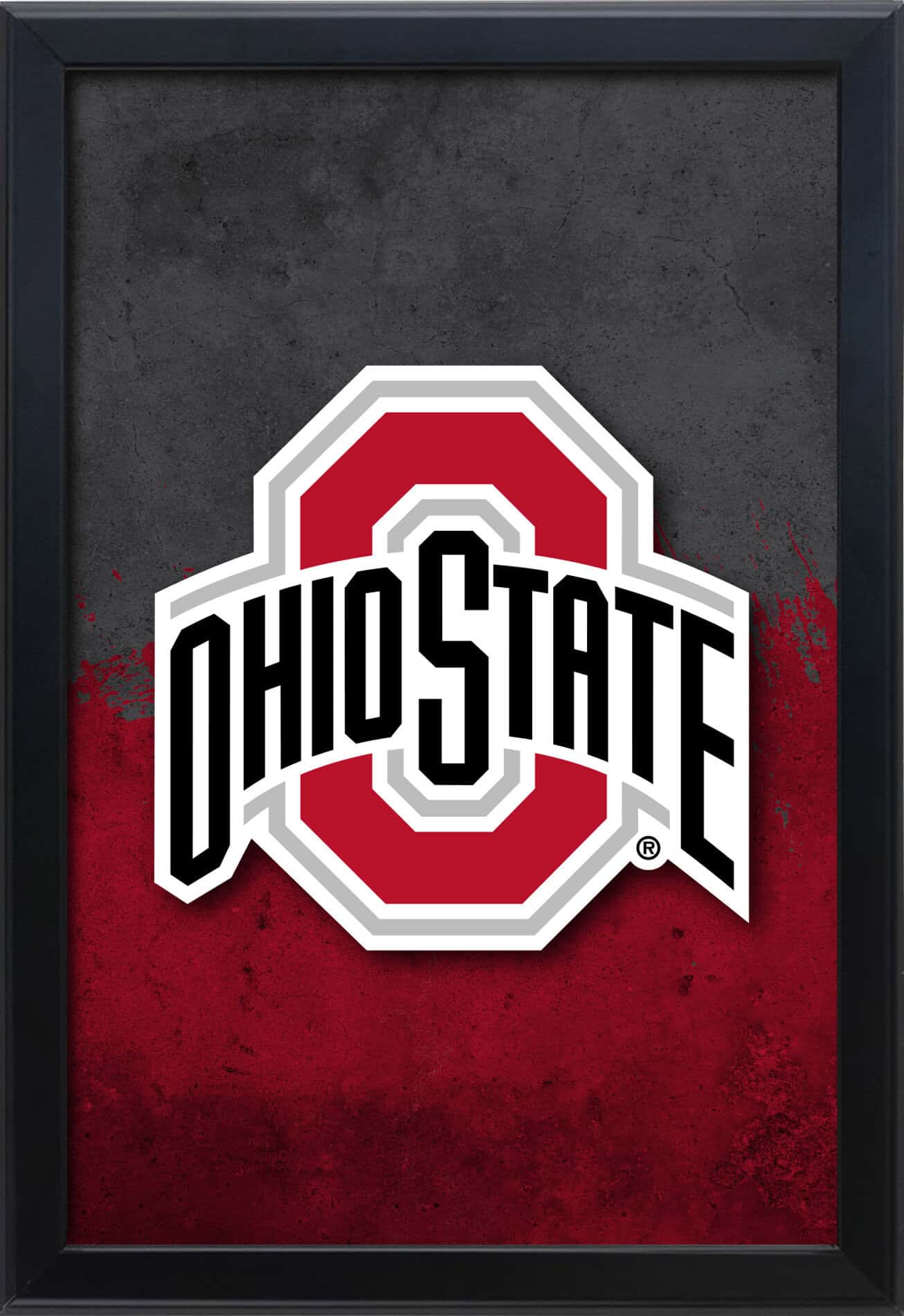 Ohio State University 16x24 Snapframe Lightbox