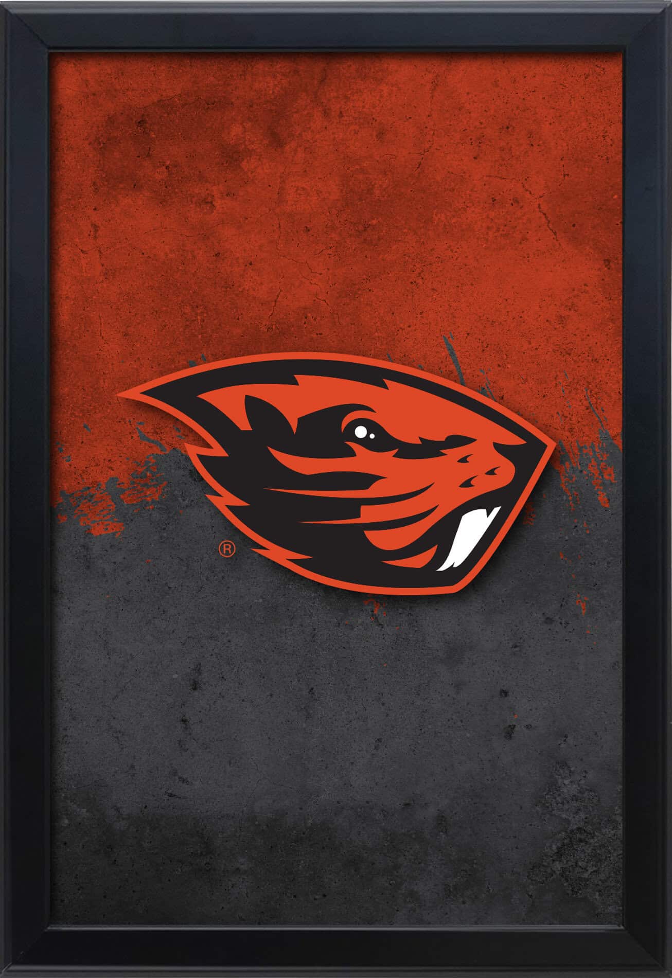 Oregon State University 16x24 Snapframe Lightbox