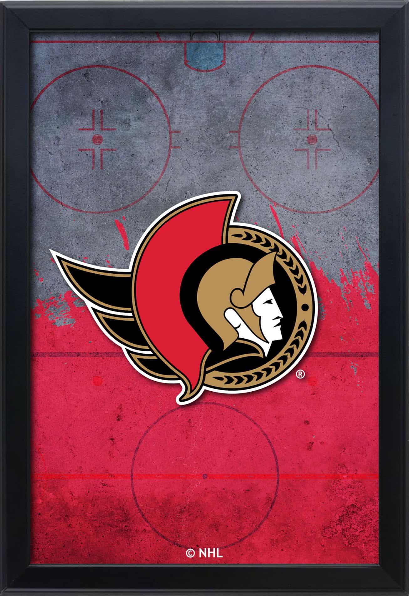 Ottawa Senators 16x24 Snapframe Lightbox