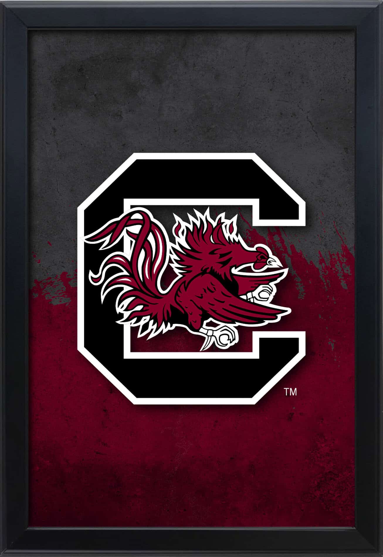 University of South Carolina 16x24 Snapframe Lightbox