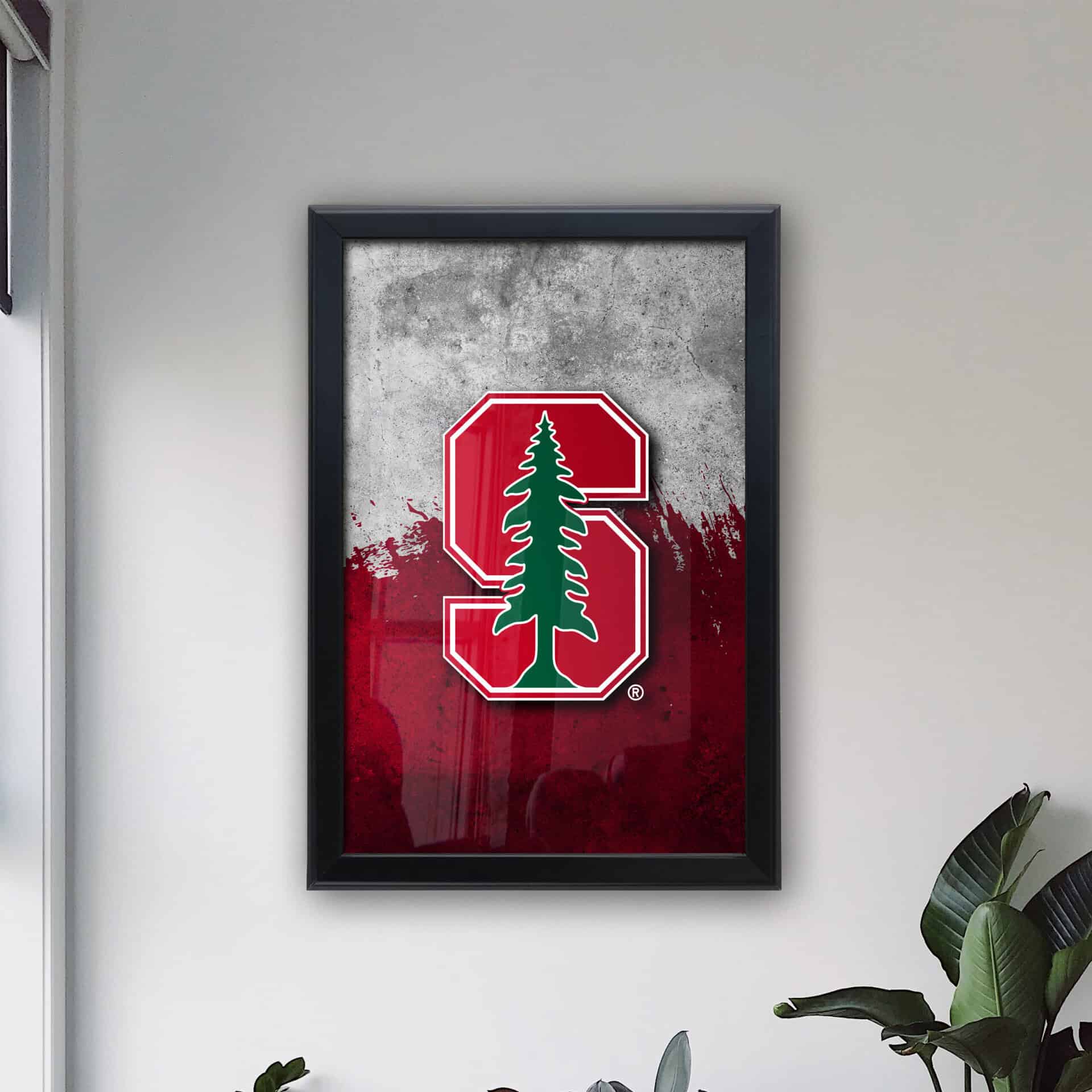 Stanford University 16x24 Snapframe Lightbox