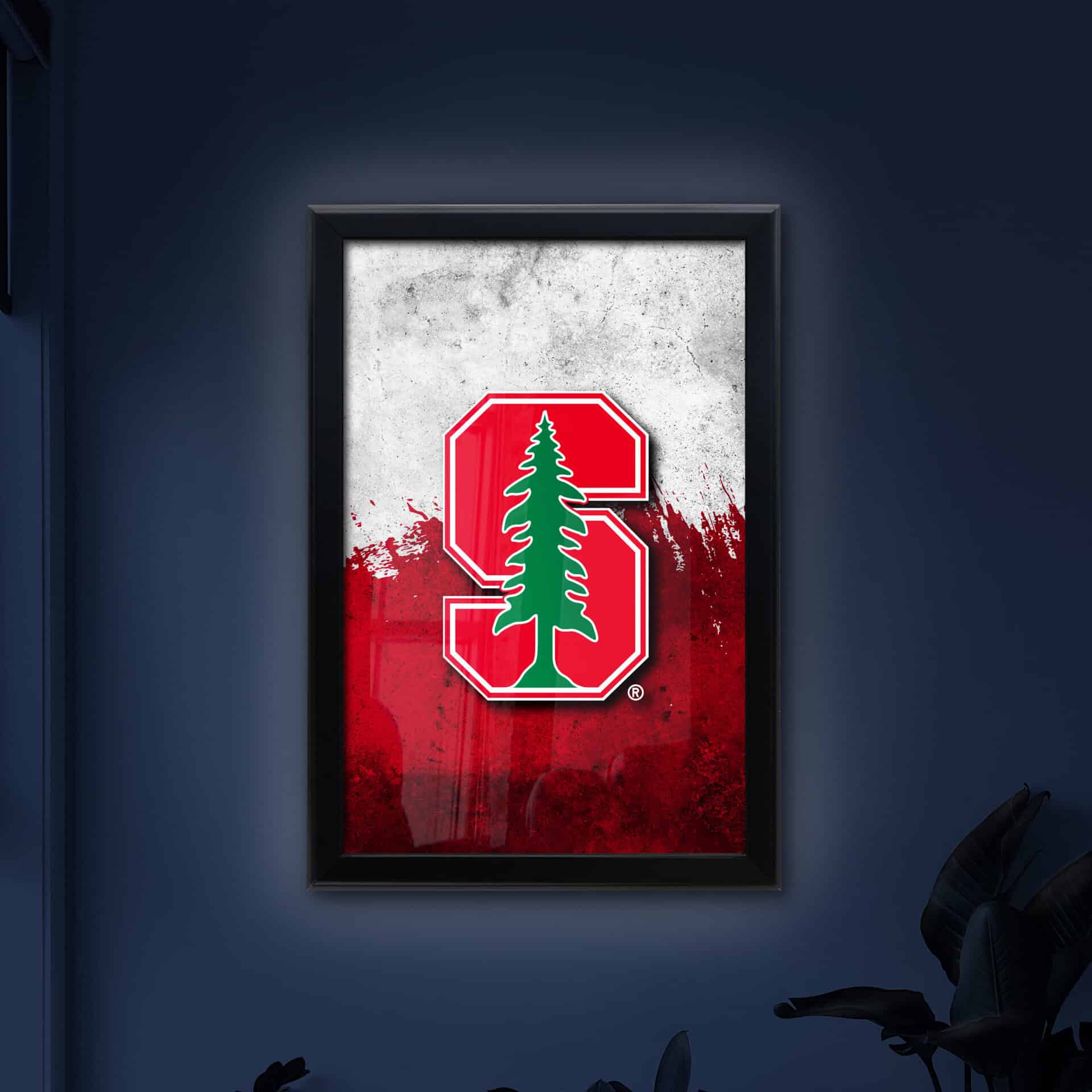Stanford University 16x24 Snapframe Lightbox
