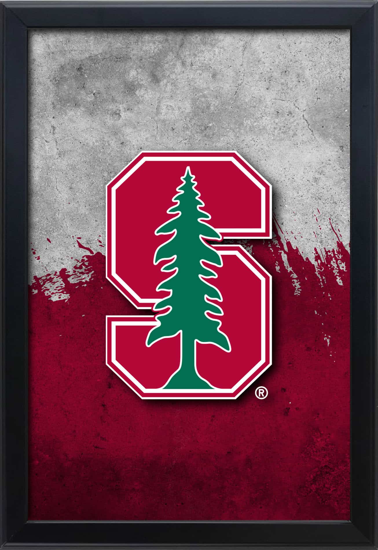 Stanford University 16x24 Snapframe Lightbox