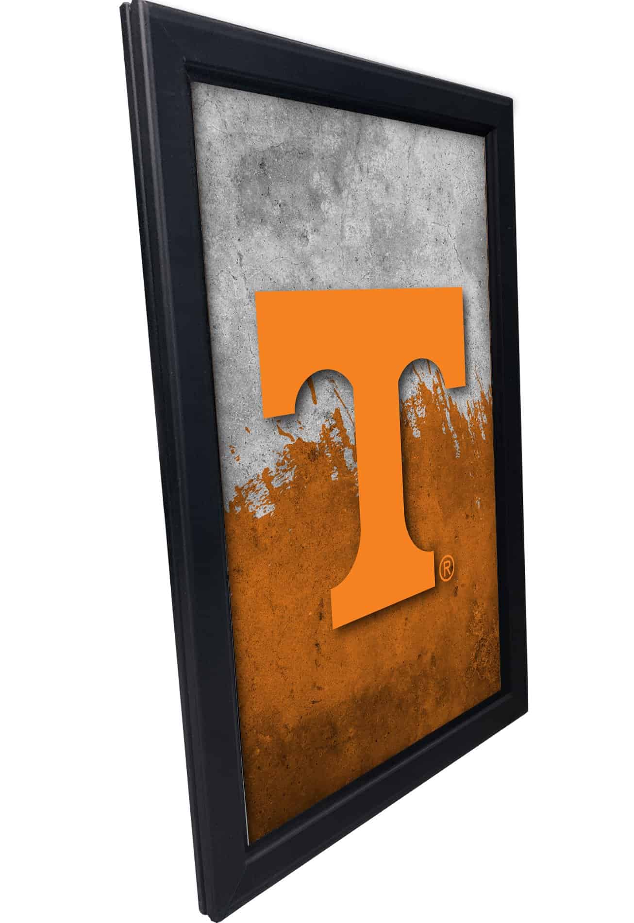 University of Tennessee 16x24 Snapframe Lightbox