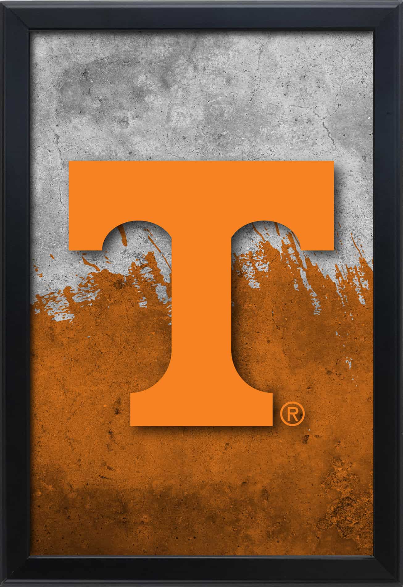 University of Tennessee 16x24 Snapframe Lightbox