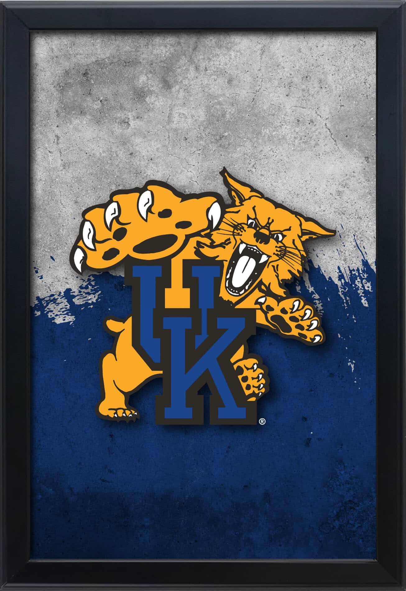 University of Kentucky (Cat) 16x24 Snapframe Lightbox