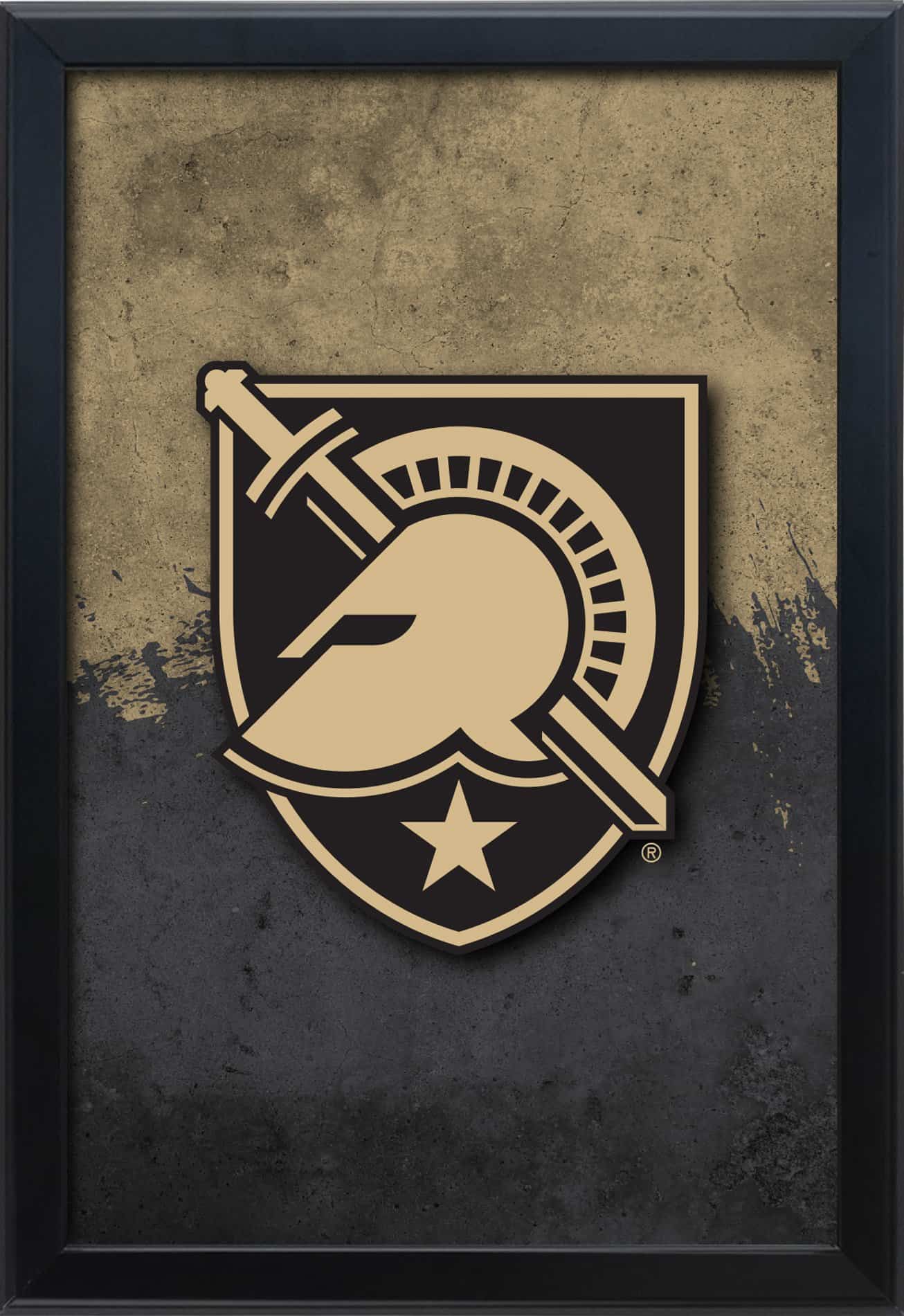US Military Academy 16x24 Snapframe Lightbox