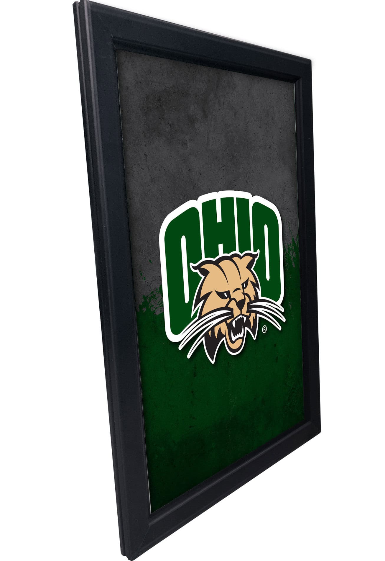 Ohio University 16x24 Snapframe Lightbox
