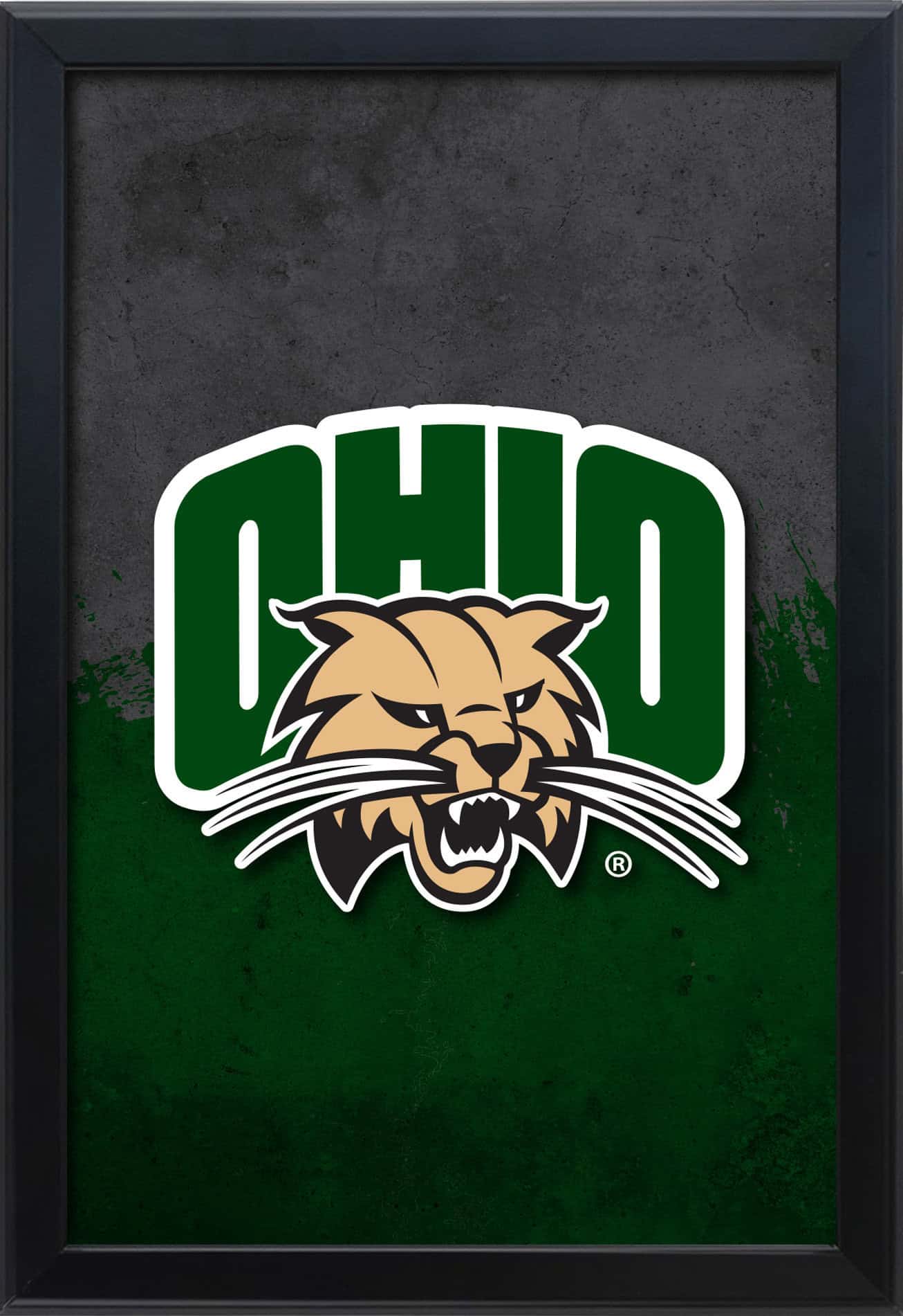 Ohio University 16x24 Snapframe Lightbox