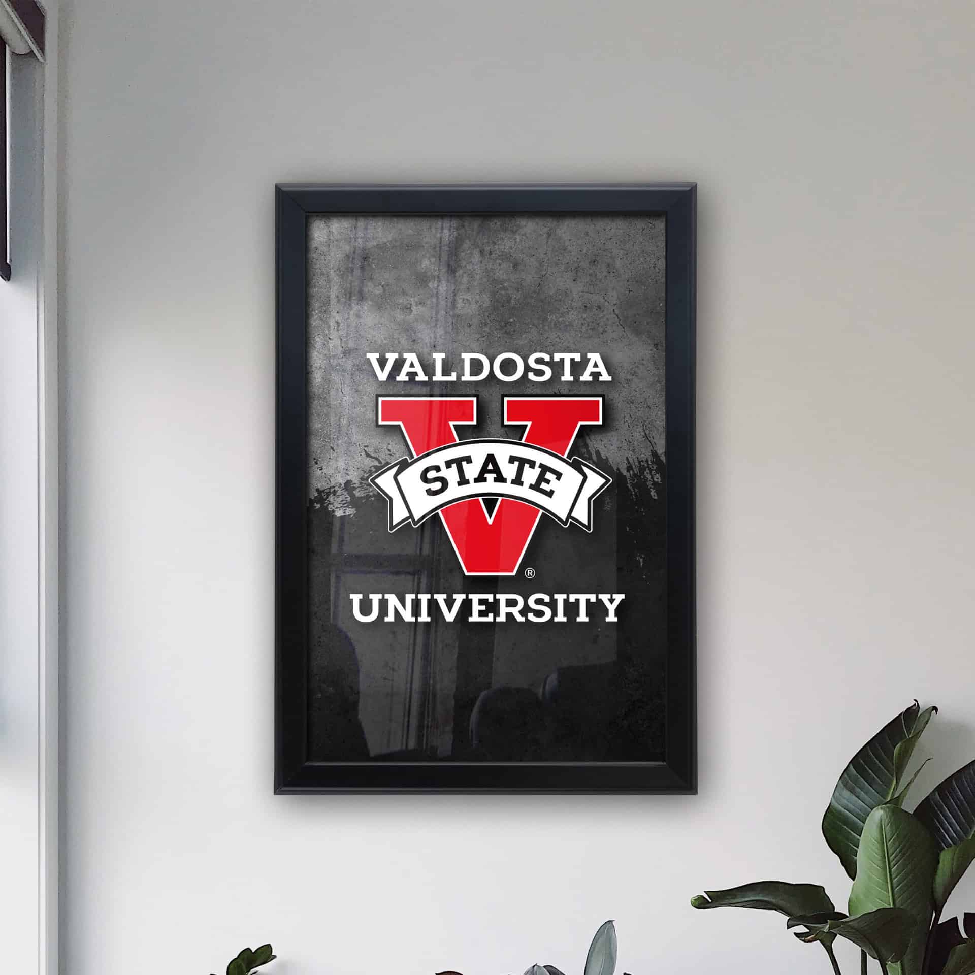 Valdosta State University 16x24 Snapframe Lightbox