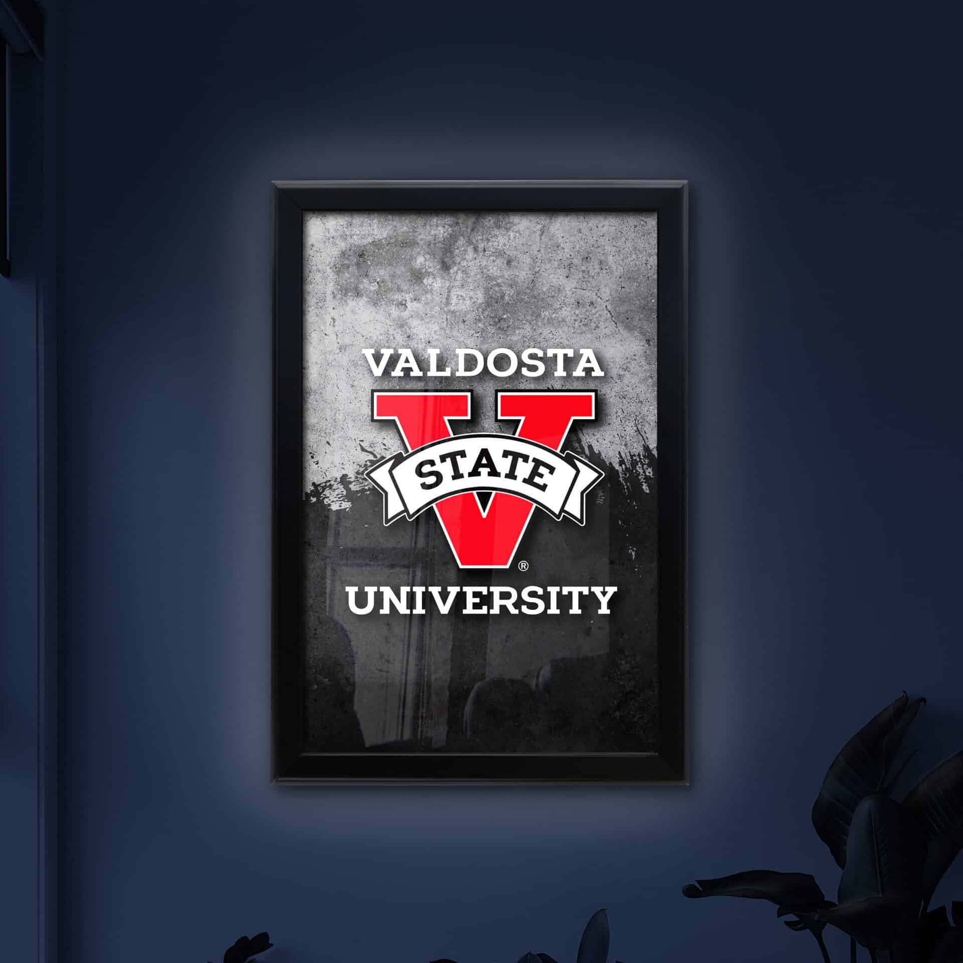 Valdosta State University 16x24 Snapframe Lightbox