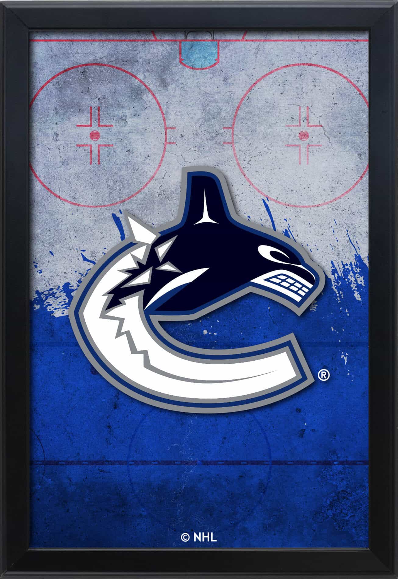 Vancouver Canucks 16x24 Snapframe Lightbox