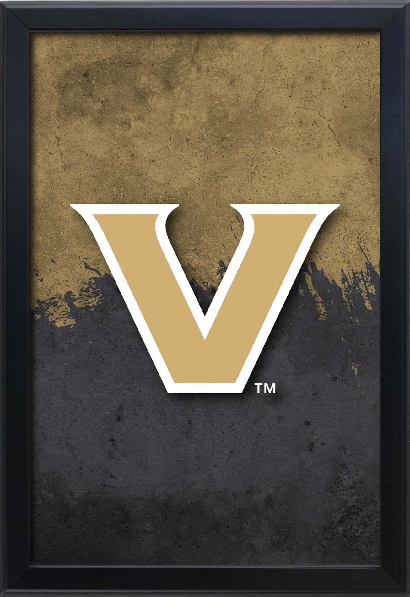 Vanderbilt University 16x24 Snapframe Lightbox