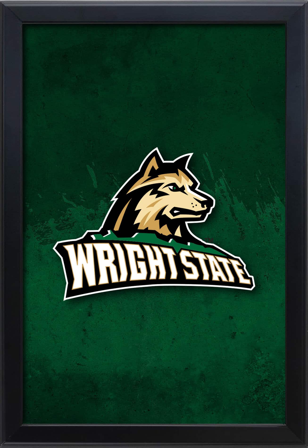 Wright State University 16x24 Snapframe Lightbox