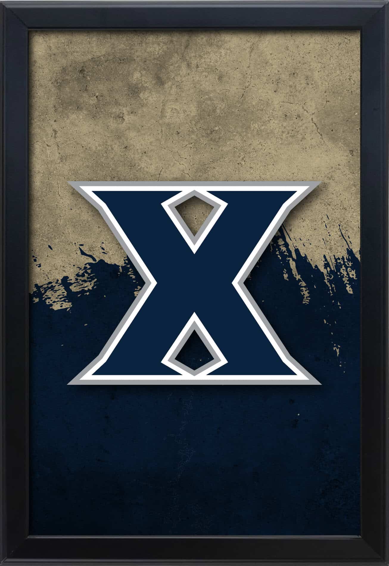 Xavier 16x24 Snapframe Lightbox