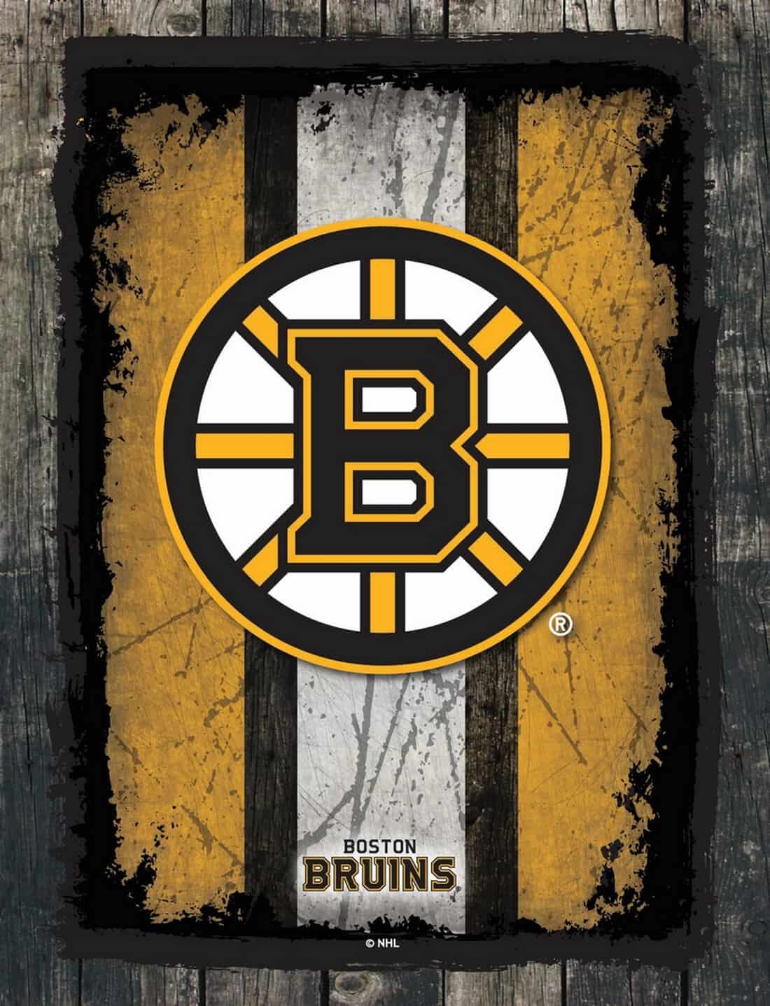 Boston Bruins 24x32 Logo Canvas Wall Art (Alternate)
