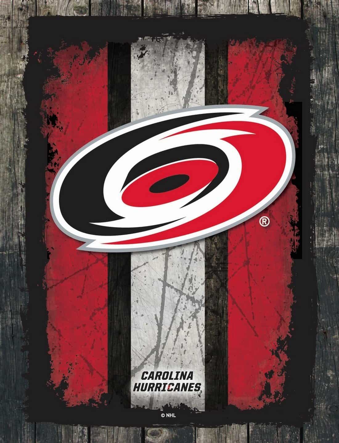 Carolina Hurricanes 15x20 Logo Canvas Wall Art (Alternate)