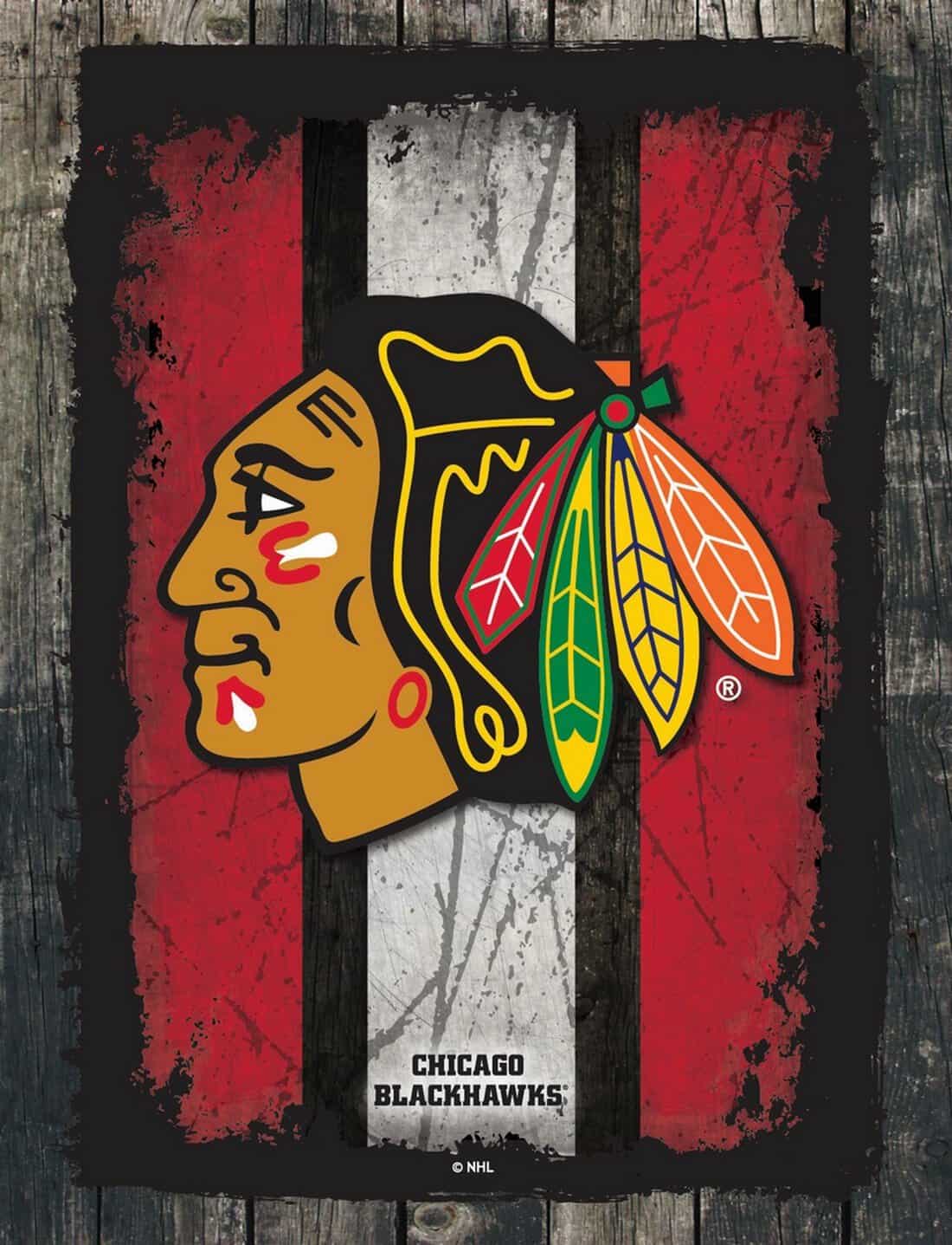 Chicago Blackhawks 15x20 Logo Canvas Wall Art (Alternate)