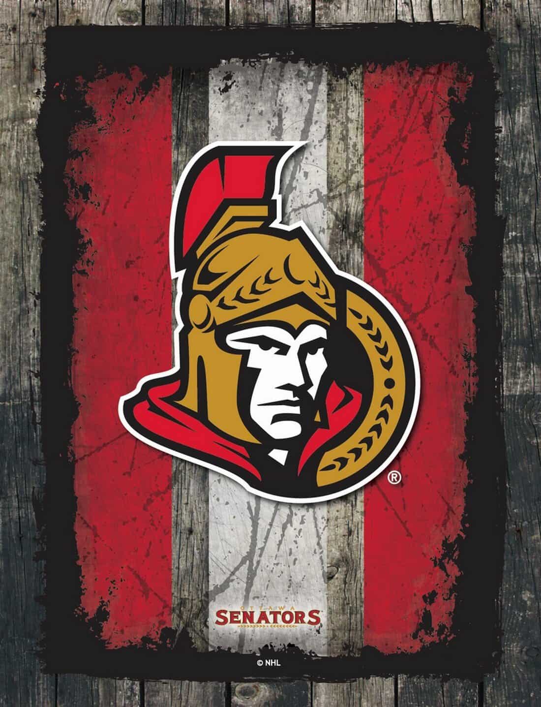 Ottawa Senators 24x32 Logo Canvas Wall Art (Alternate)