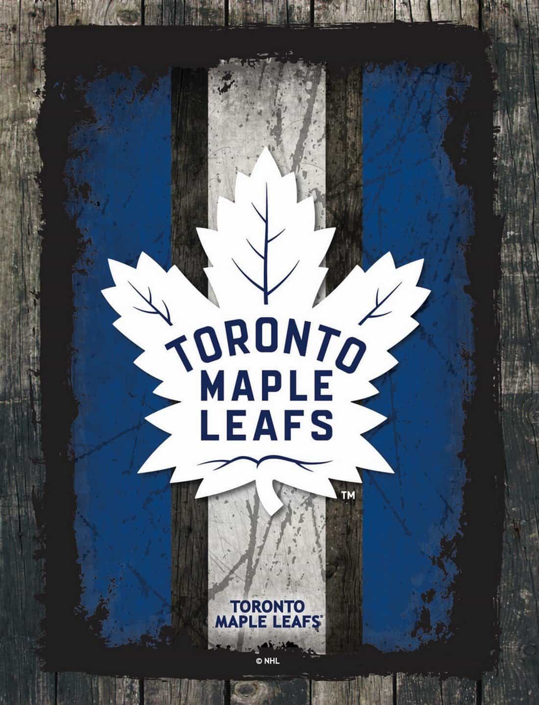 Toronto Maple Leafs 24x32 Logo Canvas Wall Art (Alternate)