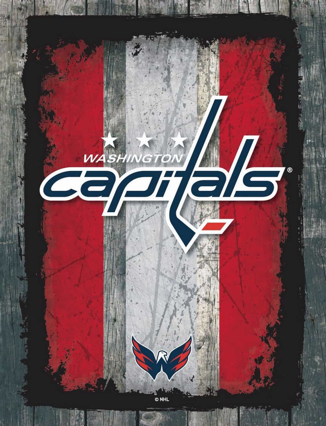 Washington Capitals 24x32 Logo Canvas Wall Art (Alternate)
