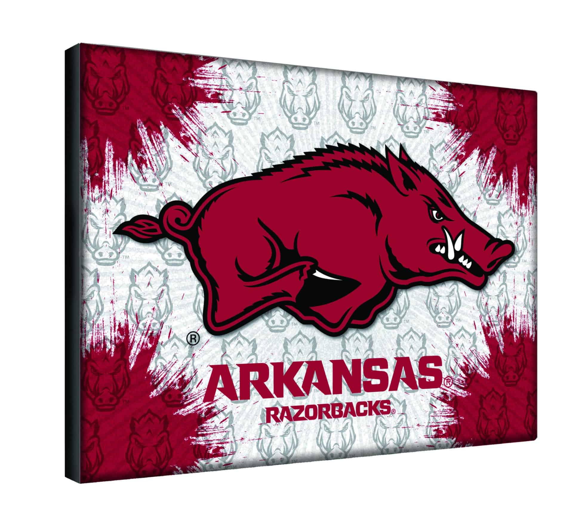University of Arkansas 24x32 Logo Canvas Wall Art