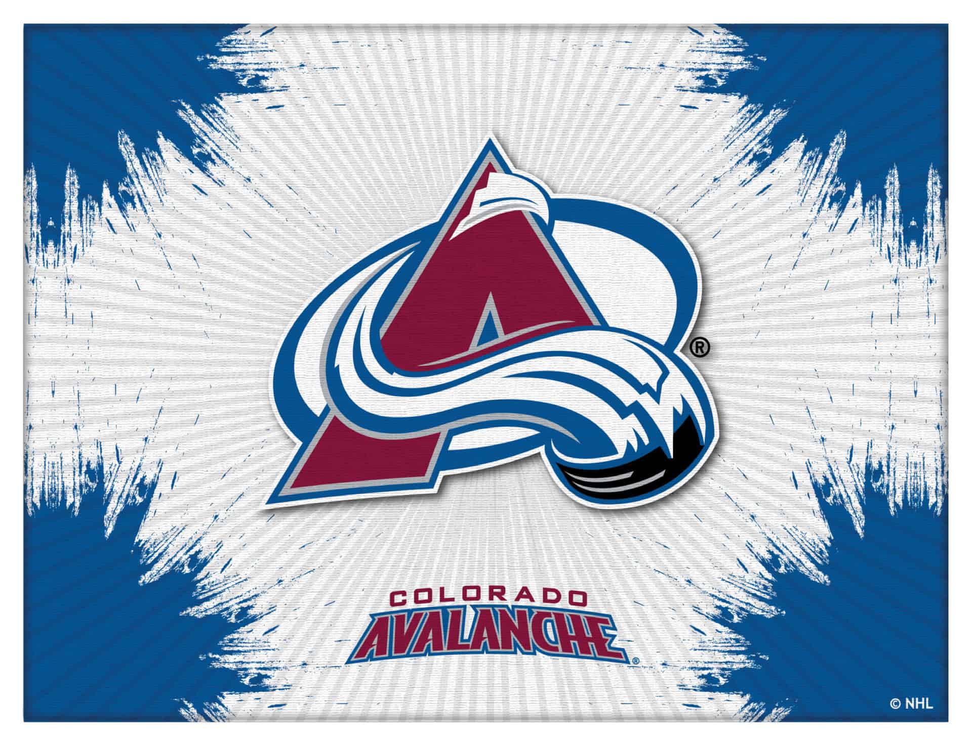 Colorado Avalanche 15x20 Logo Canvas Wall Art