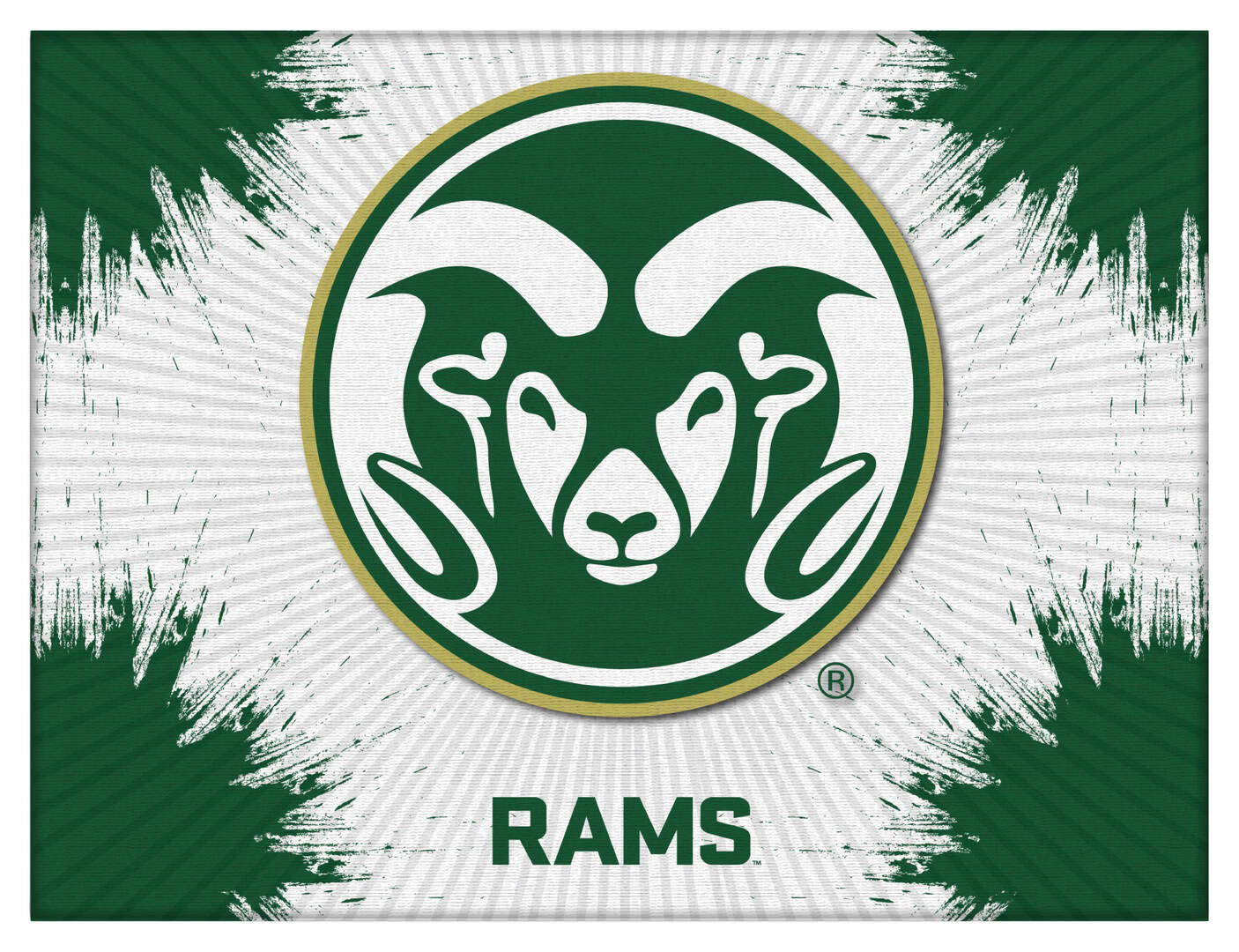 Colorado State University 15x20 Logo Canvas Wall Art