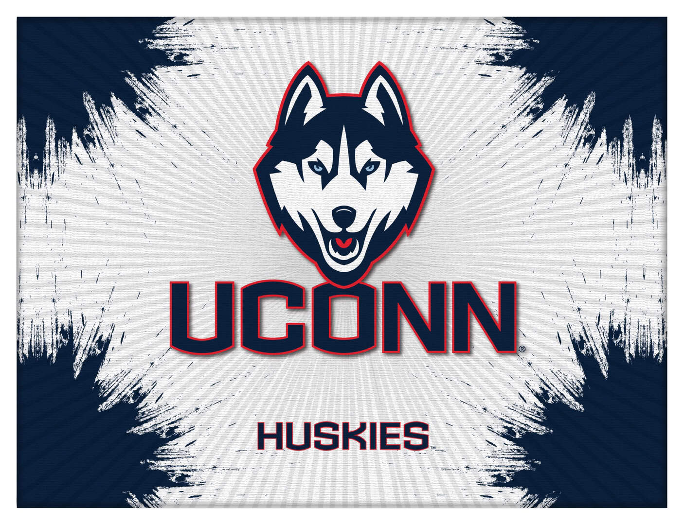 University of Connecticut 15x20 Logo Canvas Wall Art
