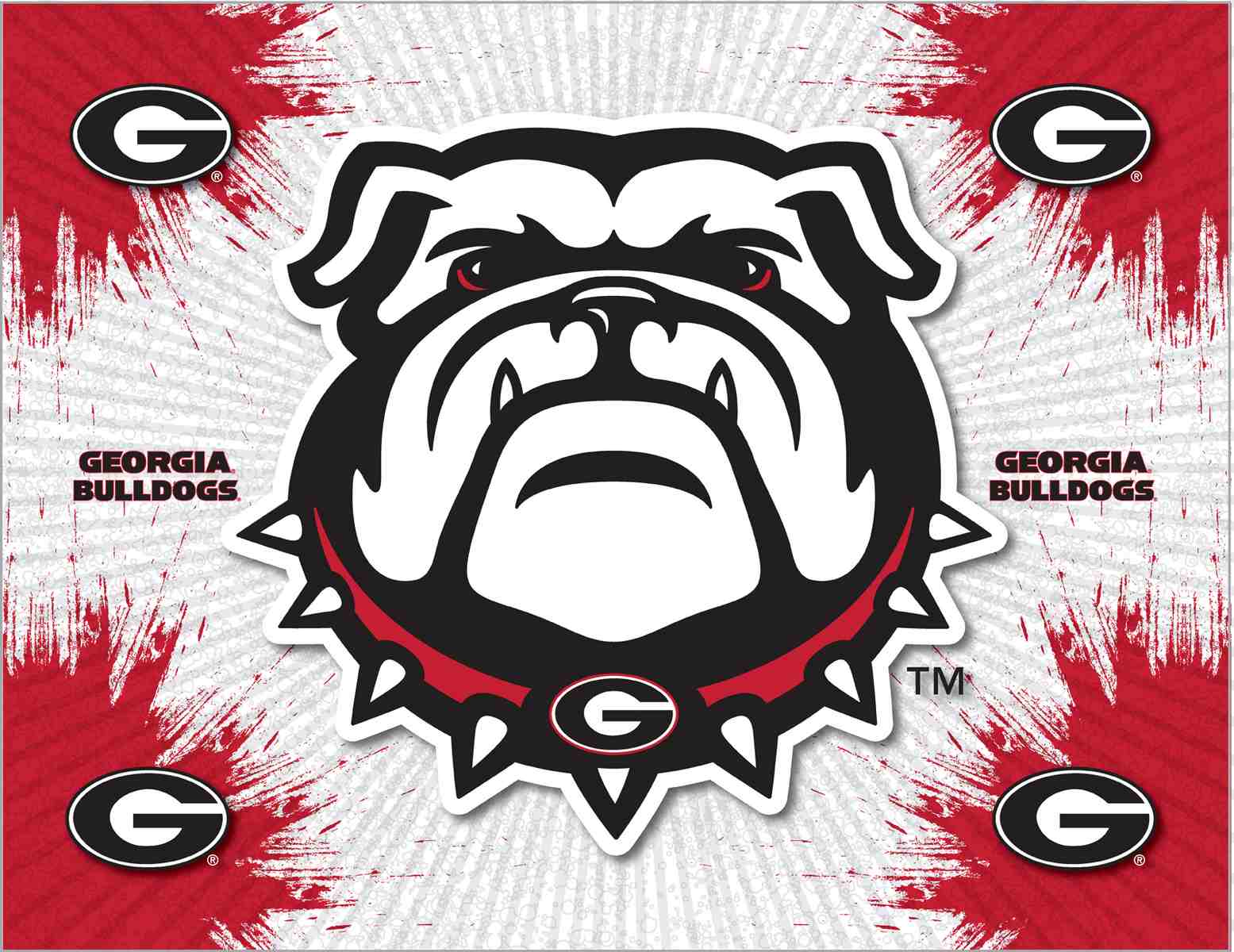 University of Georgia (Bulldog) 24x32 Logo Canvas Wall Art