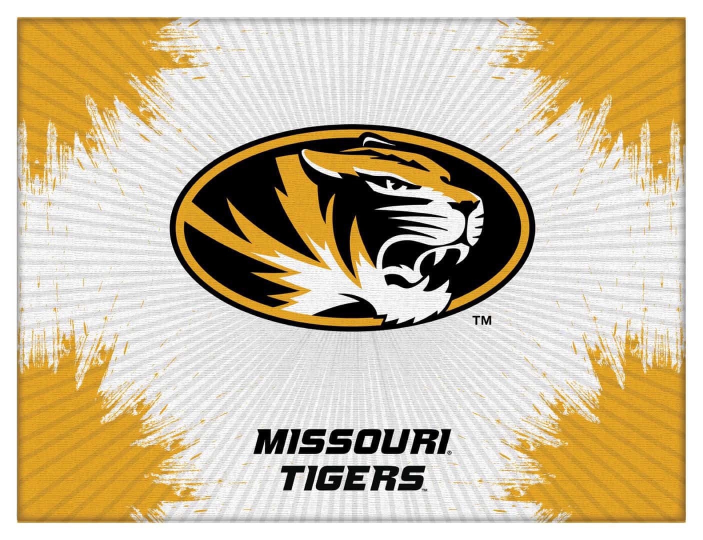 University of Missouri 24x32 Logo Canvas Wall Art